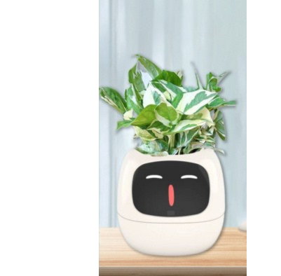 Smart Planter