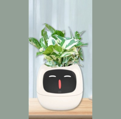 Smart Planter