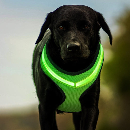 LED Reflex Sele